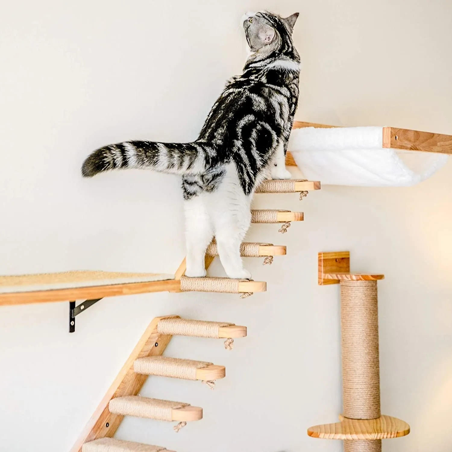 Cat Wall Shelves - Style B