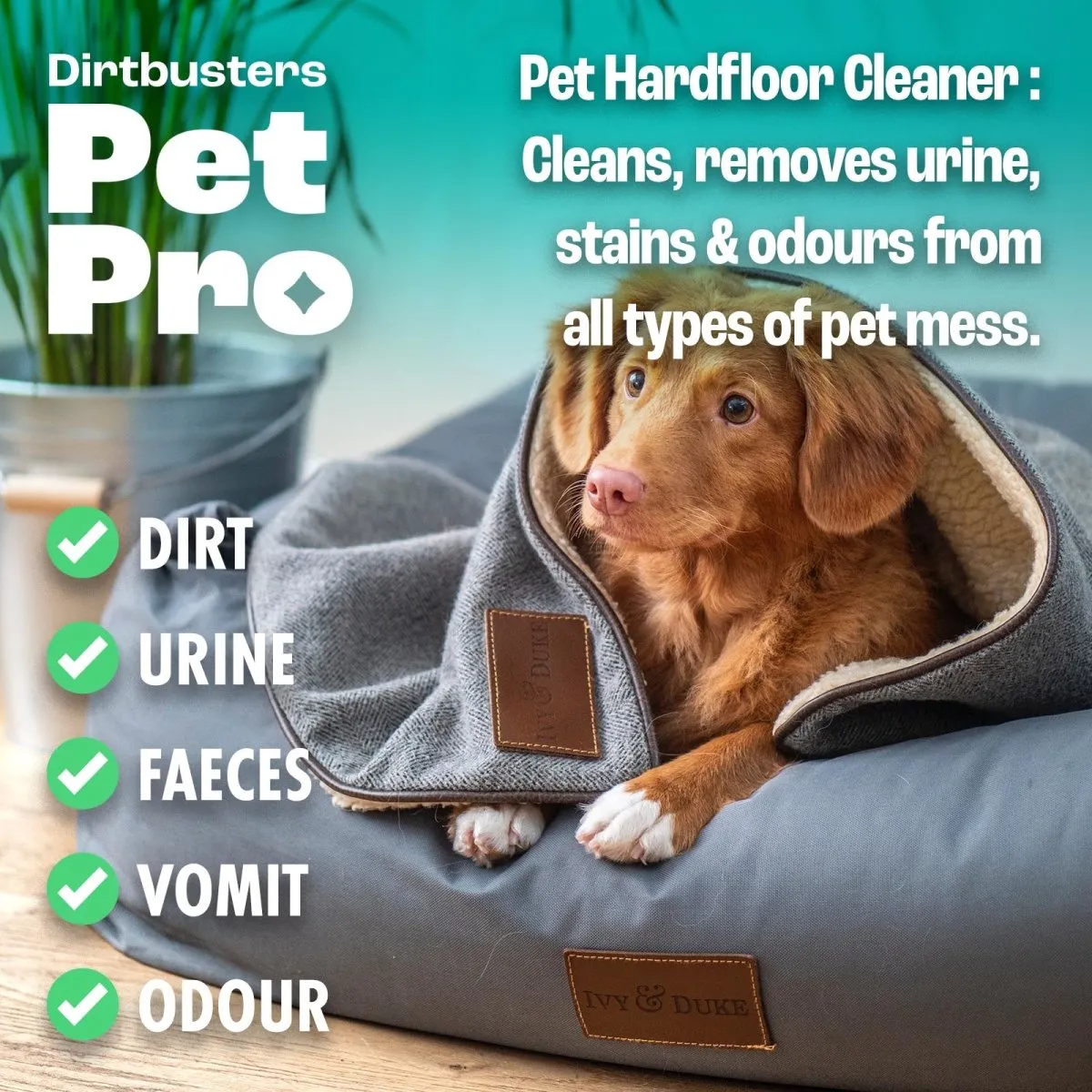 Pet Pro Multi Surface Floor Cleaner Solution With Deodoriser, Pet Stain & Odour Remover For Hard Floor Cleaning Machines & Mop (5L)