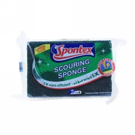 SPONTEX 3 SCOURING SPONGE 5X MORE